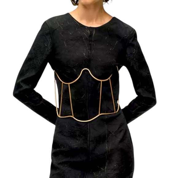 ZARA Metal Corset - Picture 1 of 14